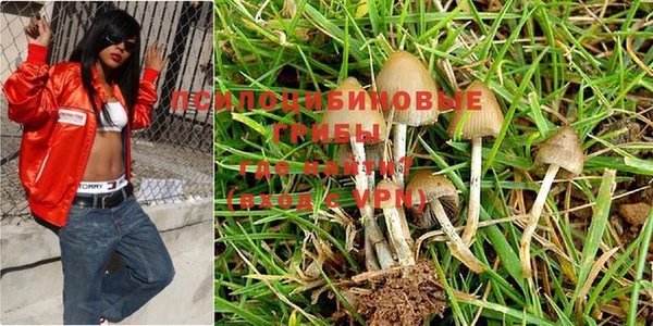 MDMA Беломорск