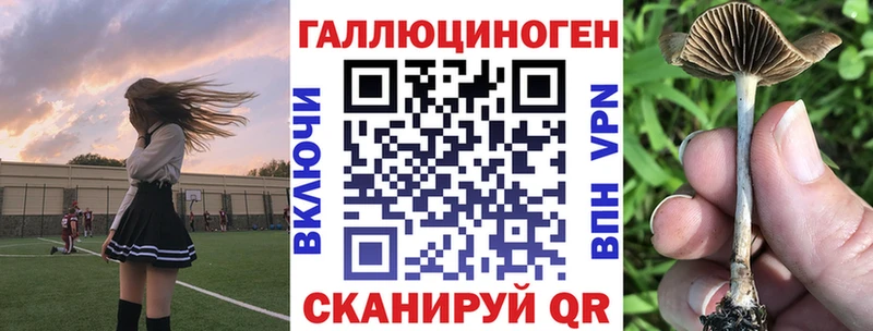 Псилоцибиновые грибы прущие грибы  Купить закладки  Звенигород 